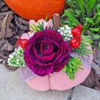 Háčkovaná líška (2/5)