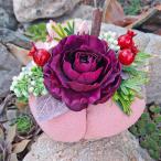 Háčkovaná líška (2/5)