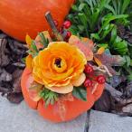 Dekorácia hus (2/5)