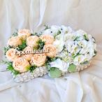 Halenka-Modrásek (308/3)