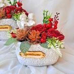 Fialka šátek (306/4)