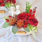 Fialka šátek (306/4)