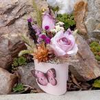 Slamienkový box č. 358 (2/3)